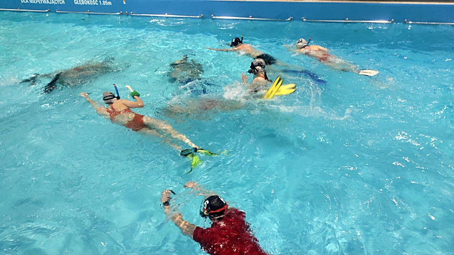 Hokej pod wodą Walenie Siemianowice Śląskie Trening 5 XI 2022. Koniec Walenia czyli Amatorska Liga Hokeja Pod Wodą